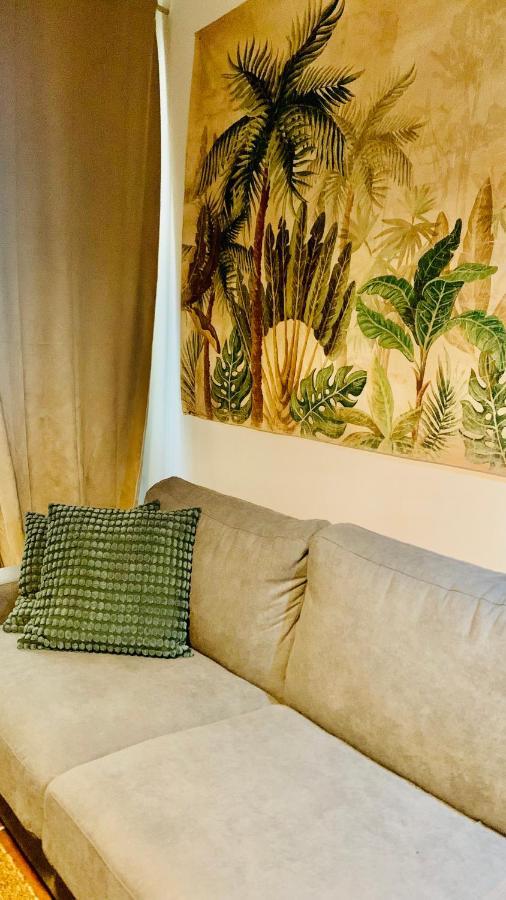Studios De La Maison Narbonnaise Ναρμπόν Εξωτερικό φωτογραφία